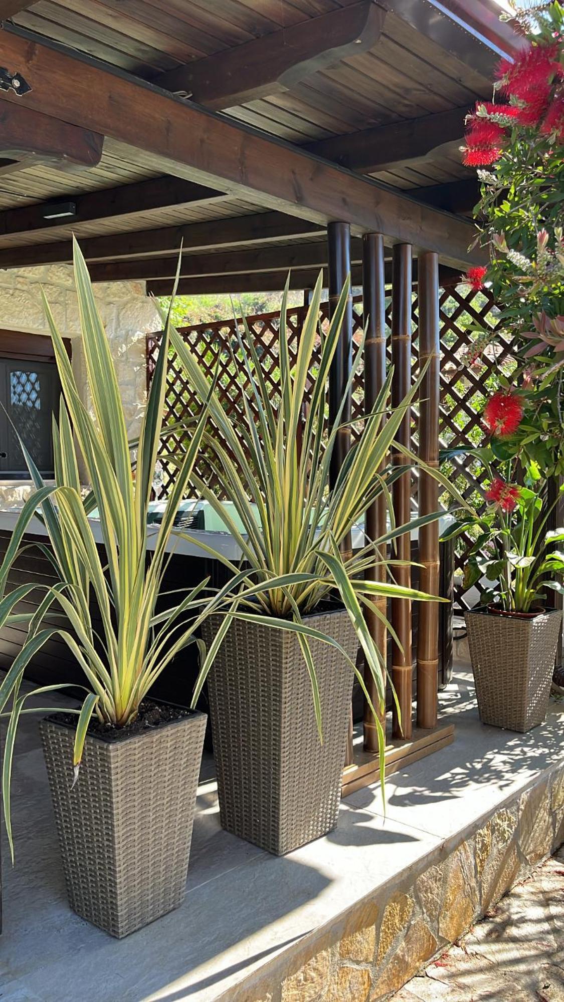 סארטי Palma Beach House מראה חיצוני תמונה